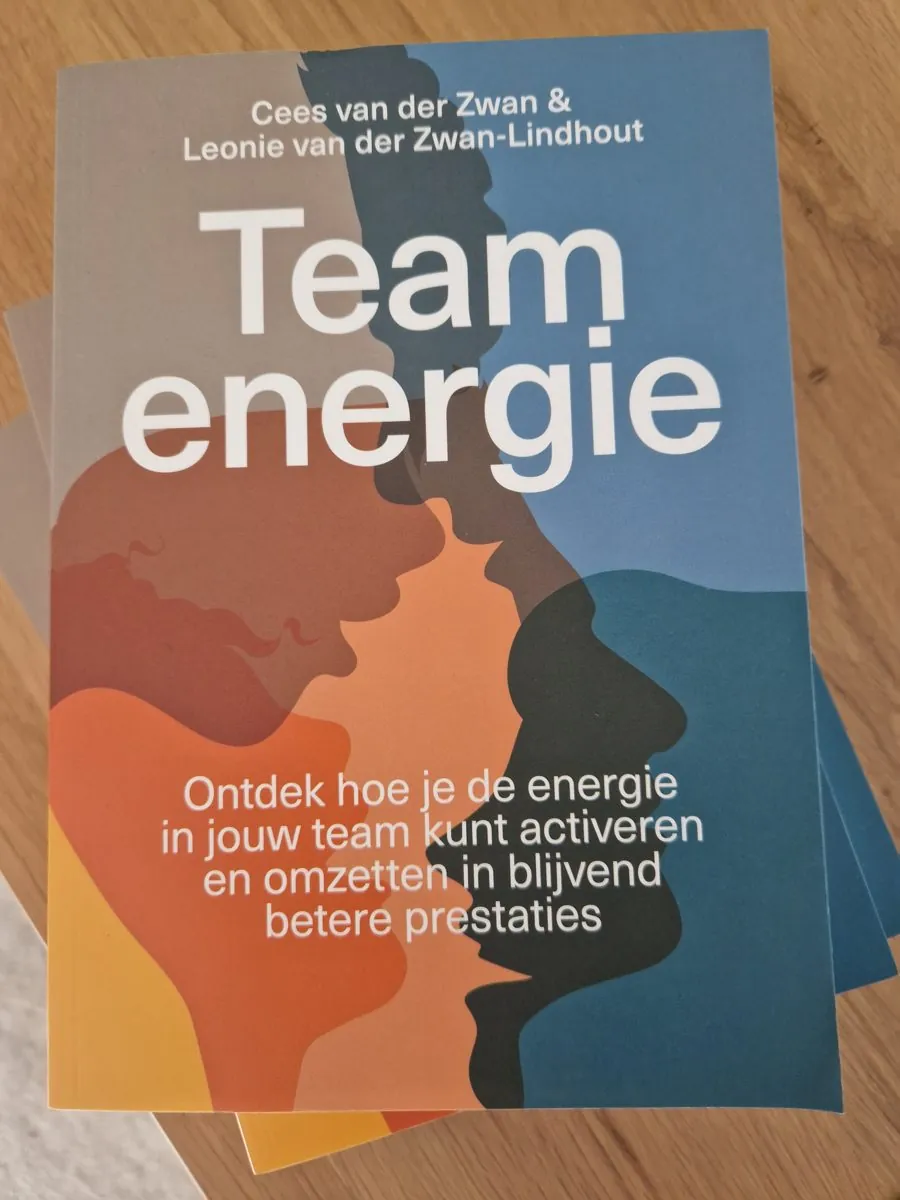 The book Teamenergy
